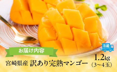 【期間・数量限定】宮崎県産訳あり完熟マンゴー1.2kg(3～4玉) マンゴー フルーツ 果物