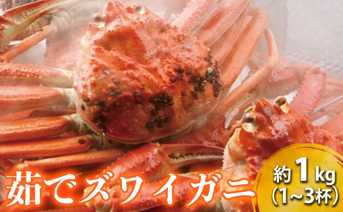茹で ズワイガニ 約1kg (1～3杯) セット 詰め合わせ 脚折れ含む カニ 蟹 かに 茹でカニ ずわい蟹 ずわいがに カニセット 魚介 魚介類 海鮮 海鮮セット 福井 福井県 若狭町
