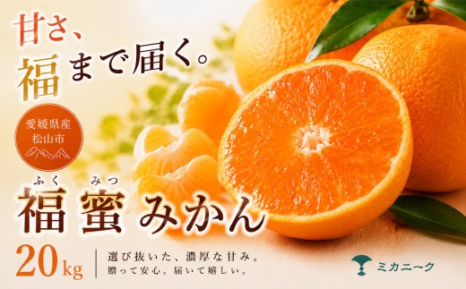 【いま注目されています】 濃密な甘さ 【 福蜜 みかん 】 20kg 愛媛県産 【2026年11月上旬頃から順次発送】 | 温州みかん ミカン mikan みかん 蜜柑 訳ありフルーツ 柑橘 果物 おすすめ お勧め お取り寄せ ギフト 愛媛県 松山市