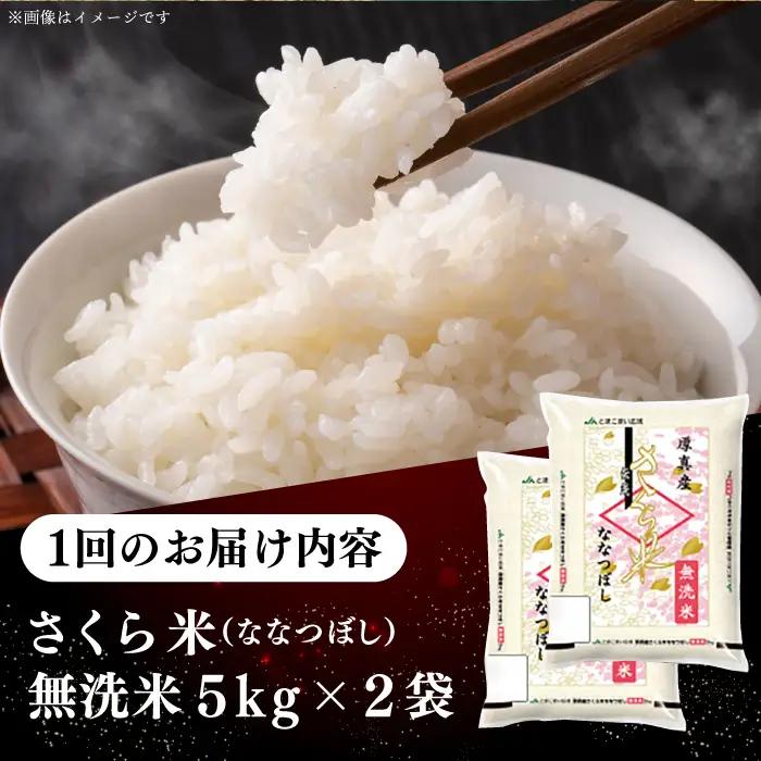 令和7年産 令和8年産 【全12回定期便】【無洗米】さくら米（ななつぼし）10kg 1年 12ヵ月 お米 無洗米 白米 北海道 [AXAB013]