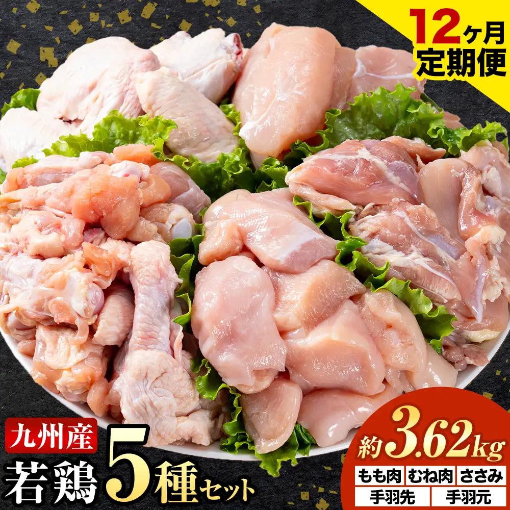 【12ヶ月定期便】 九州産若鶏もも肉 むね肉 ささみ 手羽先 手羽元 セット 計3.62kg 鶏肉 お肉 モモ肉 ムネ肉 5種類 詰め合わせ 小分け 冷凍 九州産 国産 熊本県 菊池市 送料無料《お申込み翌月から出荷》