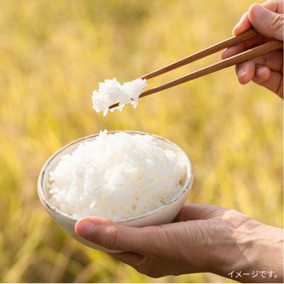 ふるさと納税 糸島市 【全6回定期便】糸島特別栽培米5kg(夢つくし)itoshimacco[ARJ007] |  | 02