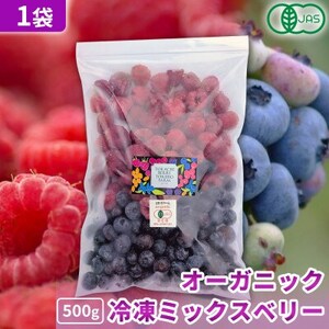 【北海道十勝産 贅沢ブレンド】冷凍ミックスベリー500g×1袋【配送不可地域：離島】【1677082】