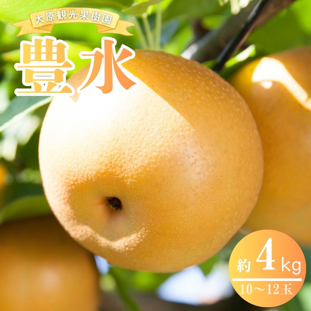 【ふるさと納税】【2026年先行予約】［大原観光果樹園］岡山県産 旬の梨（豊水）（約4kg 10～12玉）【026-a022】