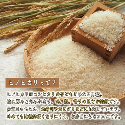 ふるさと納税 福崎町 【 玄米 】令和7年産　ヒノヒカリ　八千種米　30kg |  | 02
