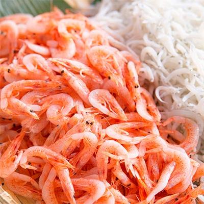 ふるさと納税 吉田町 【明治神宮・奉献品】駿河湾の恵み『極上釜あげしらす・桜えびセット M』【丸三水産】 |  | 02