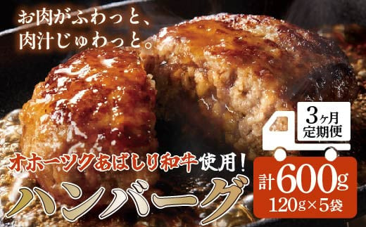 
＜網走産＞【3ヶ月定期便】【オホーツクあばしり和牛】ハンバーグ・総重量 600g（120g×5個）×3ヶ月 ABW015
