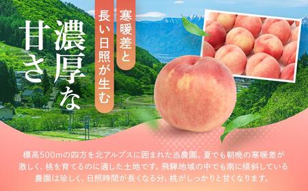 【2025年先行予約】【訳あり】飛騨の桃（4-8玉）糖度15度以上 品種おまかせ 白桃 ご家庭用｜桃 もも 極上の甘さ 濃厚な甘さ 甘い 訳アリ 規格外 朝採り 朝採れ農家直送 飛騨高山つむぎ果樹園 