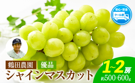 【優品】先行予約 シャインマスカット 鶴田農園 約500~600g (1～2房) 熊本県荒尾市産《8月下旬-9月下旬頃出荷》熊本県 荒尾市 フルーツ 果物 送料無料 葡萄 ぶどう マスカット