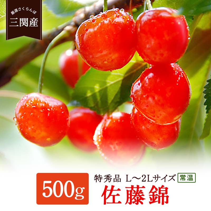 【ふるさと納税】＼朝採れ 産地直送／ 令和8年度産 佐藤錦 特秀 L~2L 500g 市場価値の高い 三関産 さくらんぼ こだわりの【常温】でお届け 訳あり 送料無料 フルーツ 果物 お取り寄せ 秋田 湯沢市 期間限定 サクランボ 数量限定 【藤山果樹園】[B6-2801]