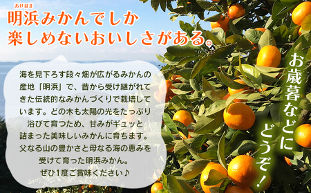＜みかん（南柑20号）贈答用 約3kg＞ 果物 くだもの フルーツ ミカン 柑橘 なんかん20ごう ナンカン20ゴウ 温州みかん うんしゅうみかん 贈答 ギフト プレゼント 特産品 株式会社笑丸 愛媛