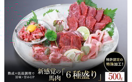 【令和7年7月出荷分】熟成×低温調理済 馬肉6種盛り合わせ500g