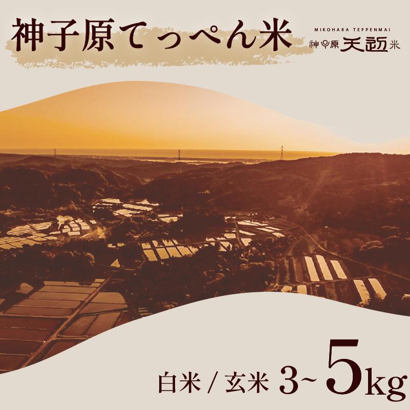 【ふるさと納税】 数量限定 新米 こしひかり 精米 玄米 5kg 3kg 神子原 てっぺん米 令和7年産 こだわり もっちり 甘み 食味ランクS 最高評価 ご飯 ごはん おいしい 美味しい 神子原てっぺん米 神子原頂上米 石川県 石川 能登 羽咋 支援 応援 復興応援 復興支援 お米 米 白米