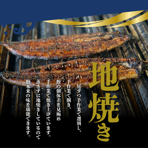 うなぎの蒲焼　２尾セット（特大サイズ　一尾　１７０g?２００g）_Cu001_うなぎ 蒲焼 2尾 セット 特大サイズ 一尾１７０g～２００g  たれ付き 鰻専門問屋 樋口商店 真空パック ギフト お取