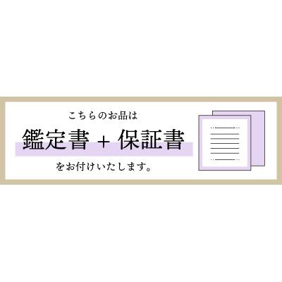 ふるさと納税 甲府市 プラチナ Dカラー 大粒 0.2ct フクリン ダイヤ ネックレス BPN-03020P |  | 03