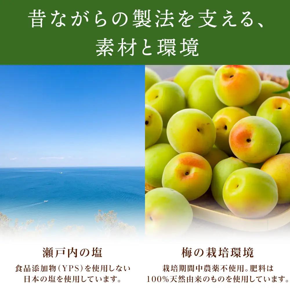 規格外品 無添加 栽培期間中農薬不使用 昔ながらの梅干し 紀州南高梅 塩のみで漬けたすっぱい梅干し 800g（400gパックx2個）塩分約23% 3年熟成品 N20-K ［KU8］