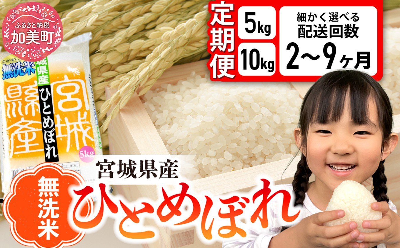 
            無洗米 定期便 5kg / 10kg ひとめぼれ 令和7年産 米 【 配送回数 2回〜9回まで選べる！】 菅原精米工業 宮城県 加美町 ｜ 3ヶ月 6ヶ月 ごはん お米 ご飯 コメ 宮城県 精米 ヒトメボレ むせんまい 人気 ふるさと納税 返礼品 [sw-hb-mu-t-oya]
          
