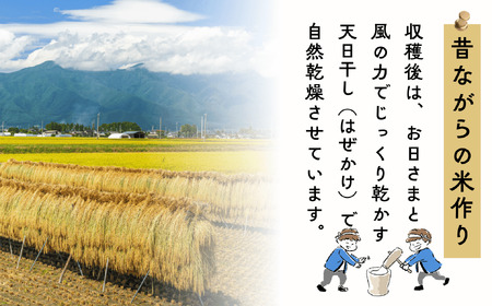 【先行予約】[令和７年産新米] 長野県産 もち米 こがねもち『奥信濃の棚田米 実の里 5kg』 (7-24A) 