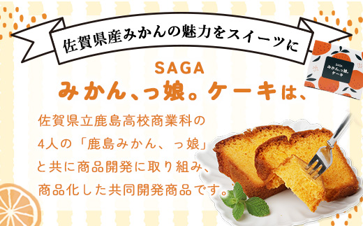 SAGAみかん、っ娘。ケーキ 12箱（合計48個入り）E-169 スイーツ ケーキ 焼き菓子 焼菓子 みかん ミカン 蜜柑 みかんケーキ ミカンケーキ お土産 ご当地スイーツ プレゼント ギフト おみ