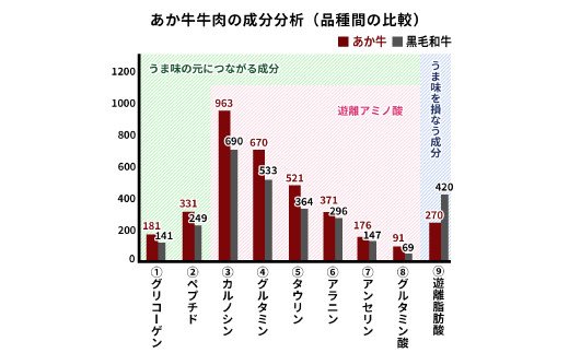 熊本県産 GI認証取得 くまもとあか牛 焼き肉用切り落とし 合計600g