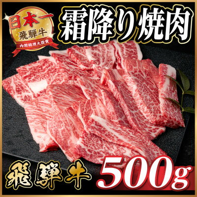 【ふるさと納税】飛騨牛 霜降り焼肉 約500g BBQ用(上カルビ、肩ロース、カイノミ、ザブトン、ミスジなど)訳あり【配送不可地域：離島】【1733135】
