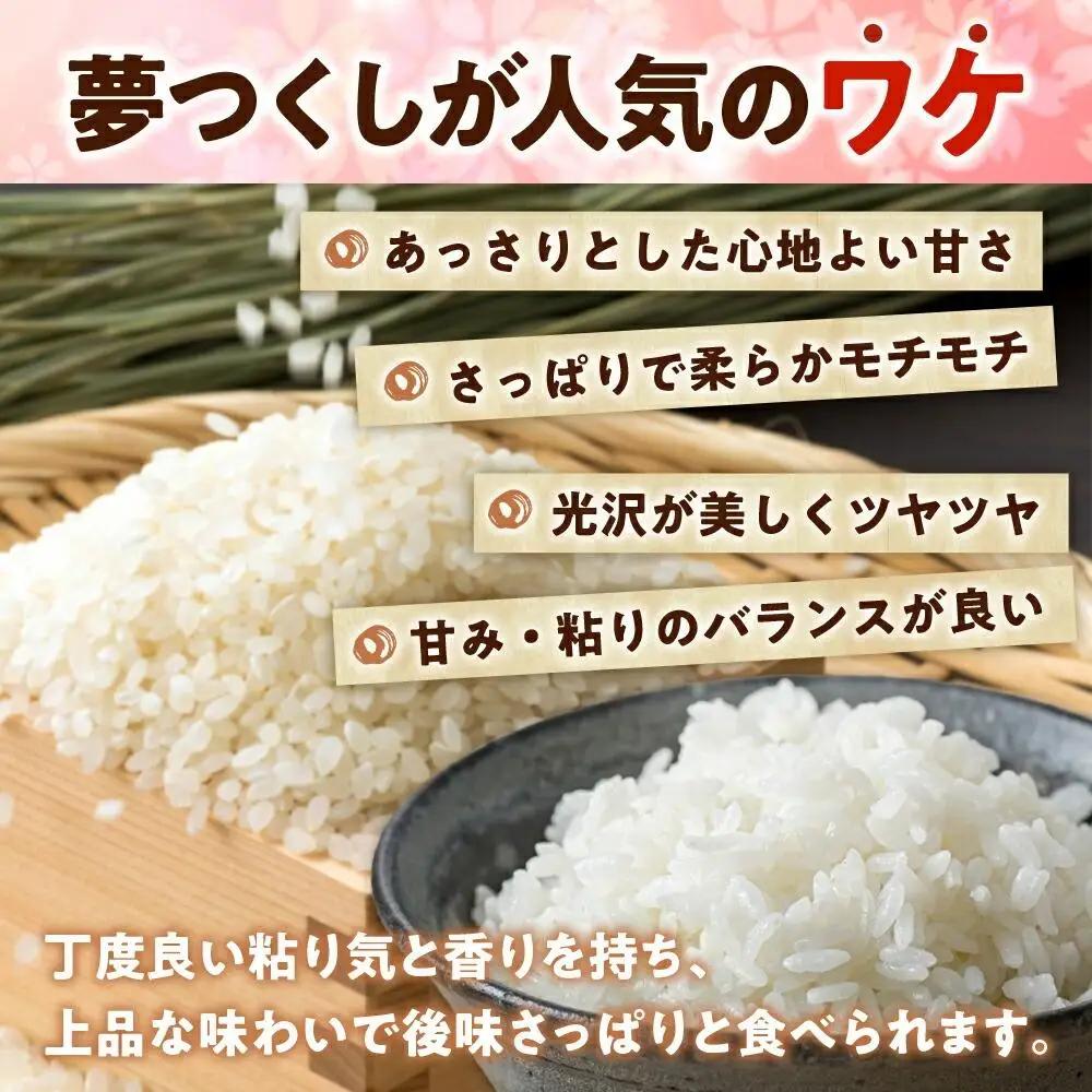 【全2回定期便】福岡県産「夢つくし」無菌パックご飯（24パック）