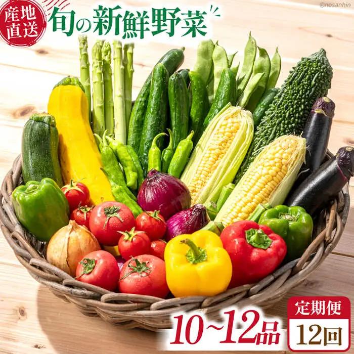 【12回定期便】野菜定期便 [SCB097] 