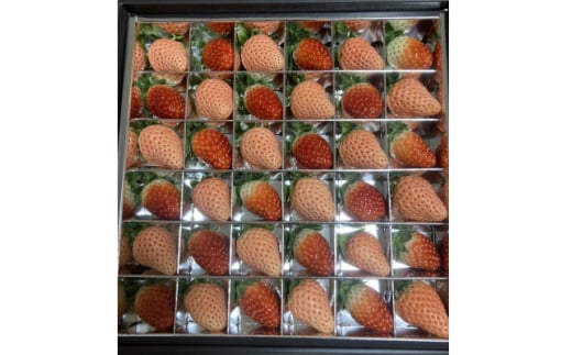 赤いちごと白いちごの宝石箱 36粒入り 県内共通返礼品【1509348】
