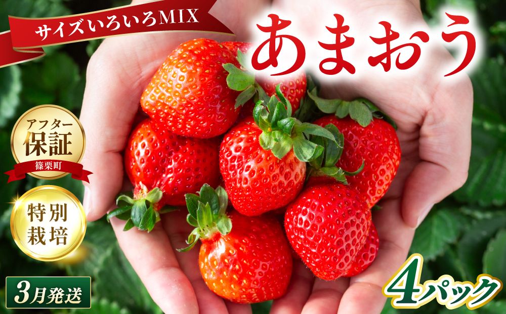 いちご 福岡県産 特別栽培 あまおう サイズいろいろMIX 約1140g（約285g×4パック）【3月発送】| 農園直送 アフター保証 先行予約 福岡産 送料無料 ケーキ ギフト お祝い 限定 季節限定 UN002