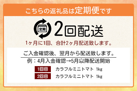 【2回定期便】【先行受付】2027年1月より順次発送 カラフルミニトマト6種 1kg ミニトマト プチトマト 定期便 農家直送 たにぐちファーム Ricotomato～とりこになるトマト～ D-92