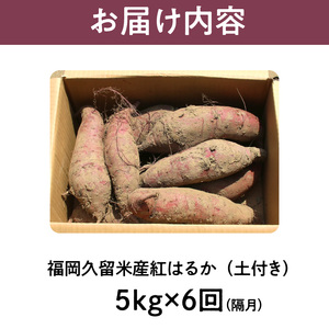 【福岡県久留米市産】熟成さつまいも（紅はるか）5kg ＜定期便－2ヶ月毎に6回お届け＞ 〔Tk011〕