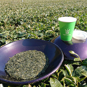 丹の国茶 Leaf Tea Cup 25個入り リーフティーカップ カップ 紙コップ 簡単 小分け お茶 茶 煎茶 日本茶 にのくに茶 両丹茶 綾部 京都