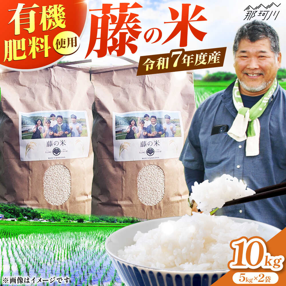 【ふるさと納税】【10営業日以内に発送！】令和7年度産 藤の米(ふじのまい) 10kg(5kg×2袋) ＜フジノ農園＞那珂川市[GCO004] 元気つくし 夢つくし 白米 2025年産 令和7年産 おこめ 米 ご飯 お米