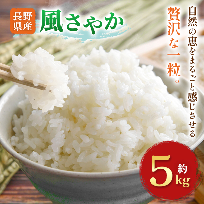 木島平村産 風さやか 約5kg | 米 お米 風さやか 長野 長野県 長野県産 木島平村 木島平村産