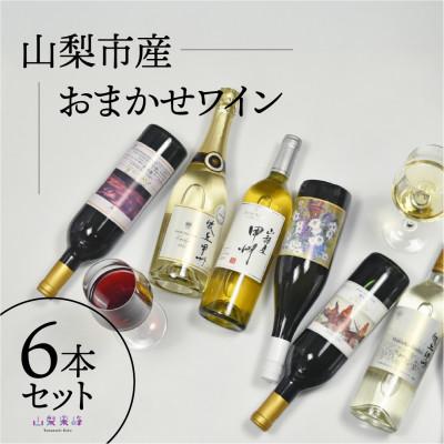 ふるさと納税 山梨市 山梨市産推奨ワイン6本セット