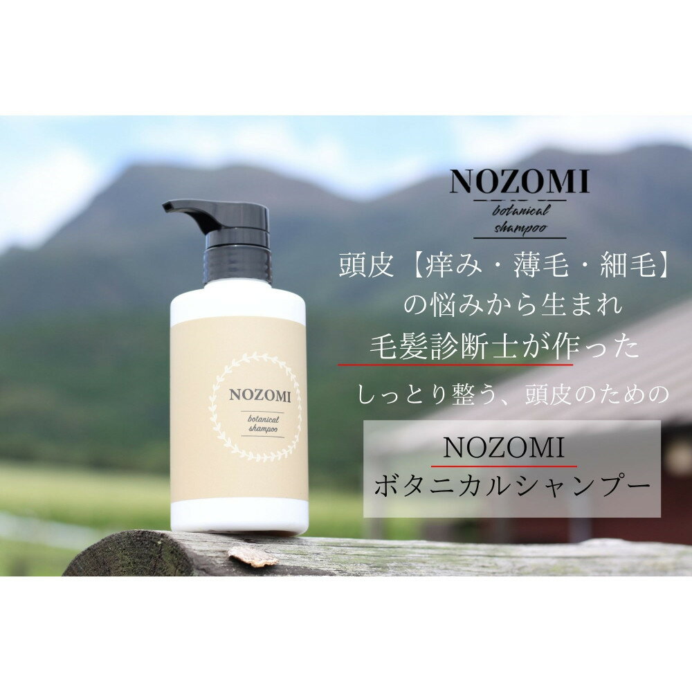 【ふるさと納税】【福岡市内製造】NOZOMIボタニカルシャンプー　400ml（4本セット）