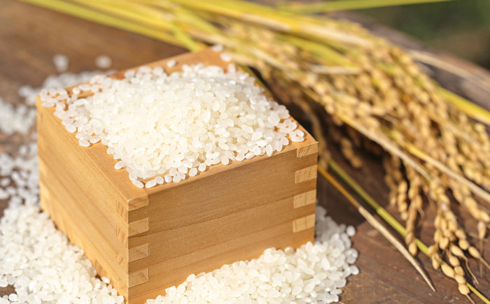 さがびより 無洗米 4kg (2kg×2袋) / 無洗米 佐賀県産 国産 / 佐賀県 / 株式会社SUMRICE [41AAAV005]