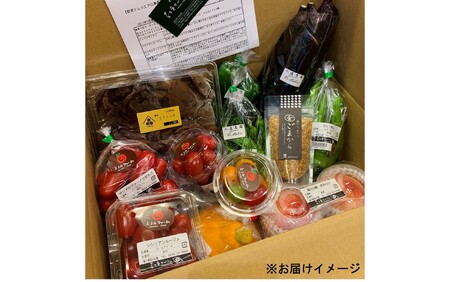 野菜ソムリエプロselect／萩・季節の食材定期便　6回コース｜HG0T0032