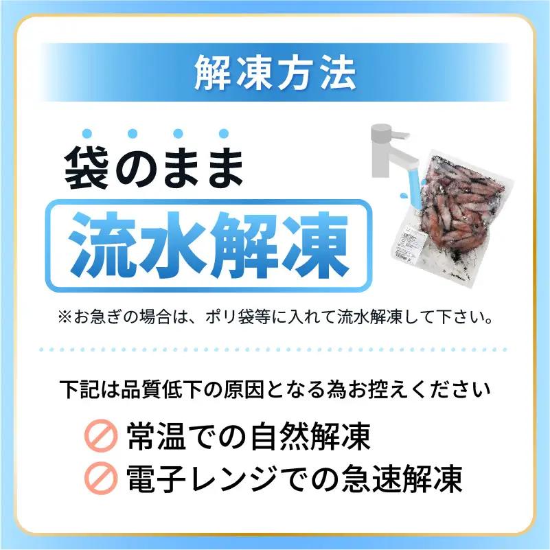 【ふるさと納税】【急速冷凍】【訳あり】生いか 天然ケンサキイカ サイズ無選別 1kg（500g × 2袋） [e15-a062]