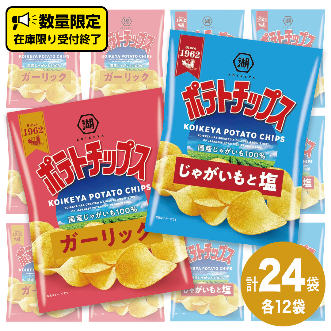 湖池屋 ポテトチップス 2種類アソート （じゃがいもと塩・ガーリック）（各12袋・計24袋） ポテチ お菓子 おかし 大量 スナック おつまみ ジャガイモ じゃがいも まとめ買い スナック菓子 数量限定