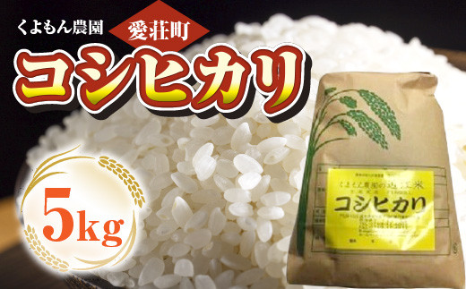 コシヒカリ 5kg 令和7年産 こしひかり 令和7年 7年産 米 白米 精米 お米 近江米 くよもん農園 愛荘町産 滋賀 愛荘 AG02