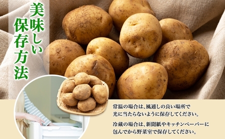 【ふるなびWEEK対象】北海道産 じゃがいも きたあかり 約10kg 芋 ジャガイモ いも 自然 旬 新鮮 野菜 直送 常温 農作物 お取り寄せ 野菜 ポテト 農作物 お取り寄せ 送料無料 縁樹 北海