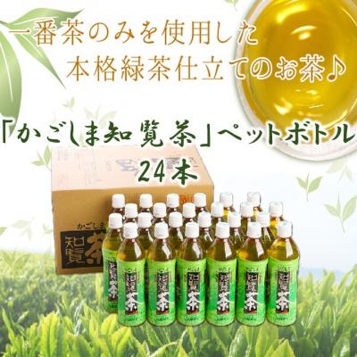 ふるさと納税 南九州市 かごしま知覧茶ペットボトル24本