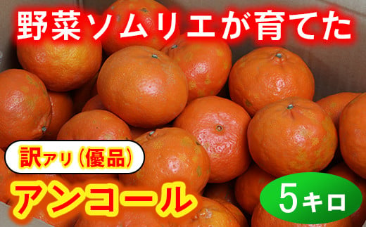 【訳あり・優品】野菜ソムリエ石児さんの「アンコール 約5kg」