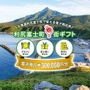 【ふるさと納税】利尻富士町e街ギフト　300,000円分