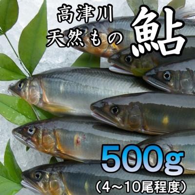 ふるさと納税 吉賀町 高津川天然あゆ冷凍　500g(吉賀町)