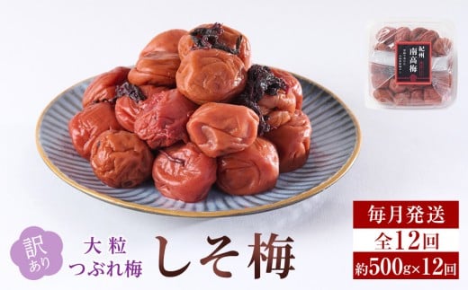 訳あり 梅干し 大粒 大玉 つぶれ梅 しそ梅 約500g × 12回 塩分10％ [ 定期便 毎月発送・全12回 ]