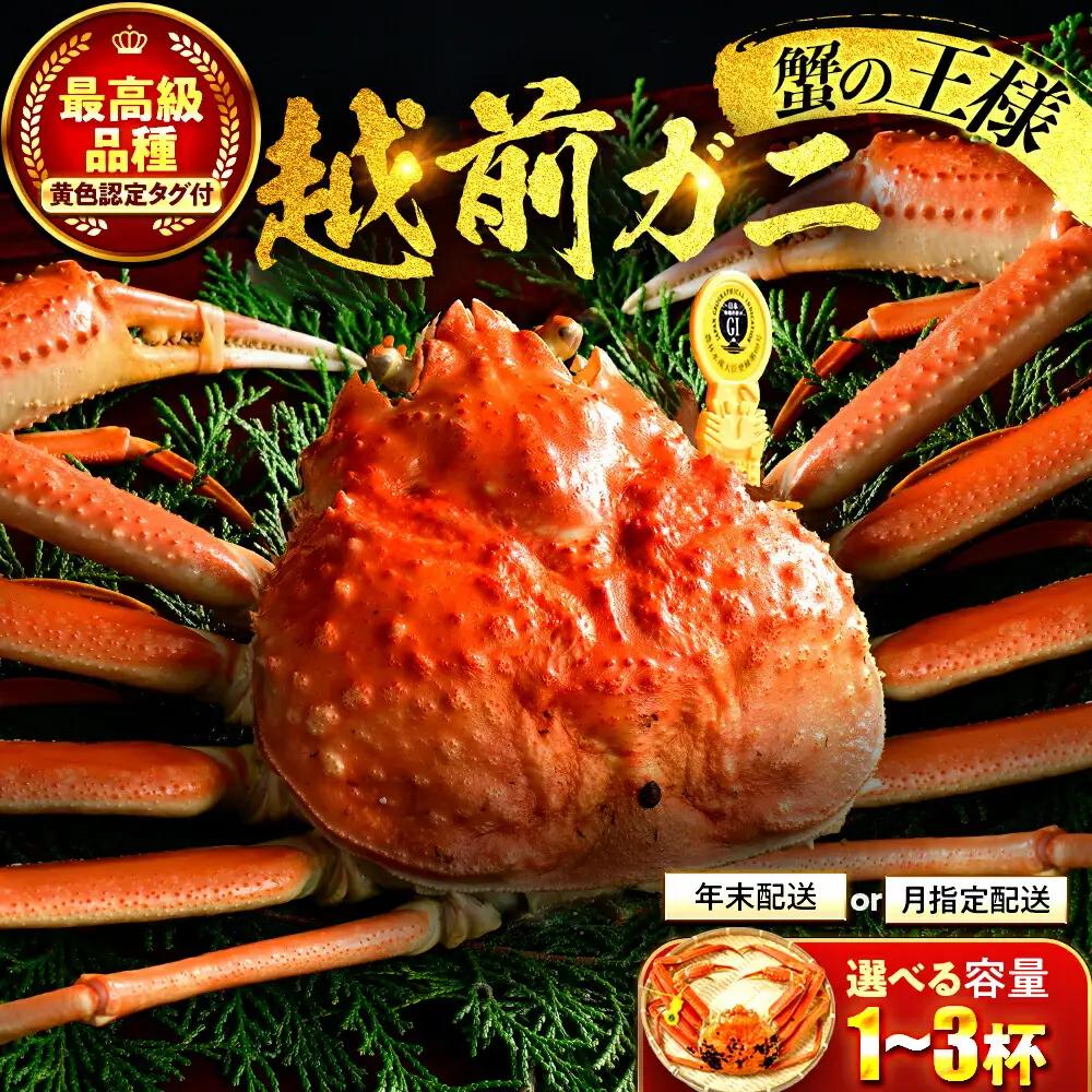 【先行予約/11月7日より順次発送】【希望月指定可】 越前がに 600ｇ×1ハイ  / 蟹 ズワイガニ ずわいがに ボイル 冷蔵 小浜市 / まるほ商店 【配送不可地域：北海道・沖縄・離島】[BFCS018]