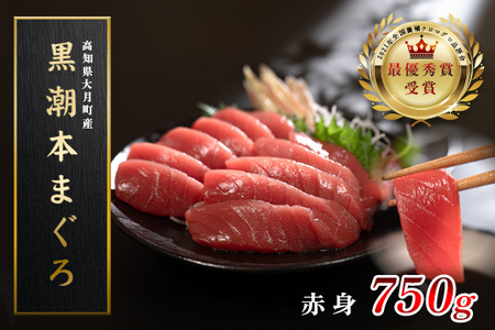 【高知県産 養殖本マグロ】赤身 750g 黒潮本まぐろ 刺身用 小分け柵 急速冷凍 最優秀賞受賞