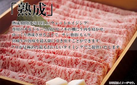 宮崎牛 A4 ロース 赤身 スライス セット 各250g 計500g すき焼きのタレ付き ギフト箱入り [南海グリル 宮崎県 美郷町 31bg0009] 冷凍 ブランド牛 送料無料 国産 牛 肉 南海